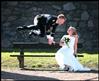 wedding-1240